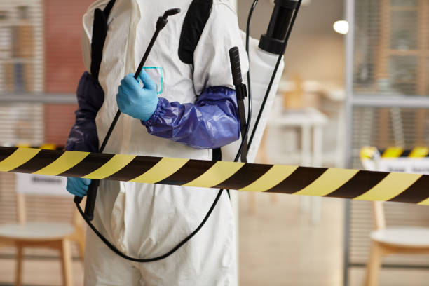 Professional Sewage Cleanup technician working in Jefferson, MD